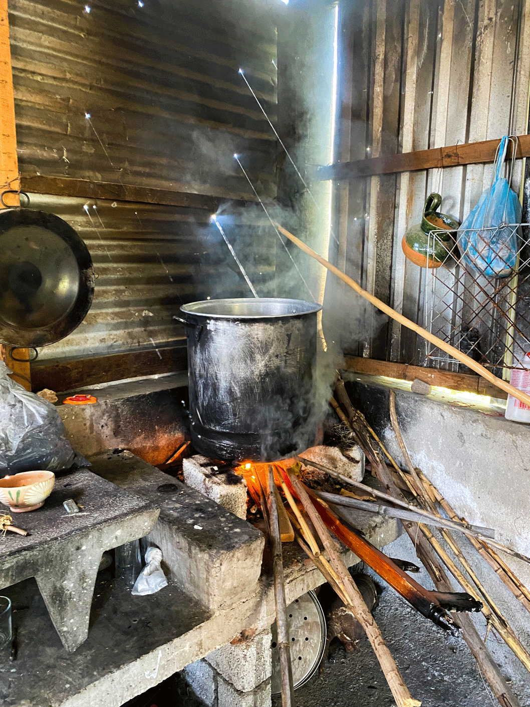 plant dyeing natural dyes